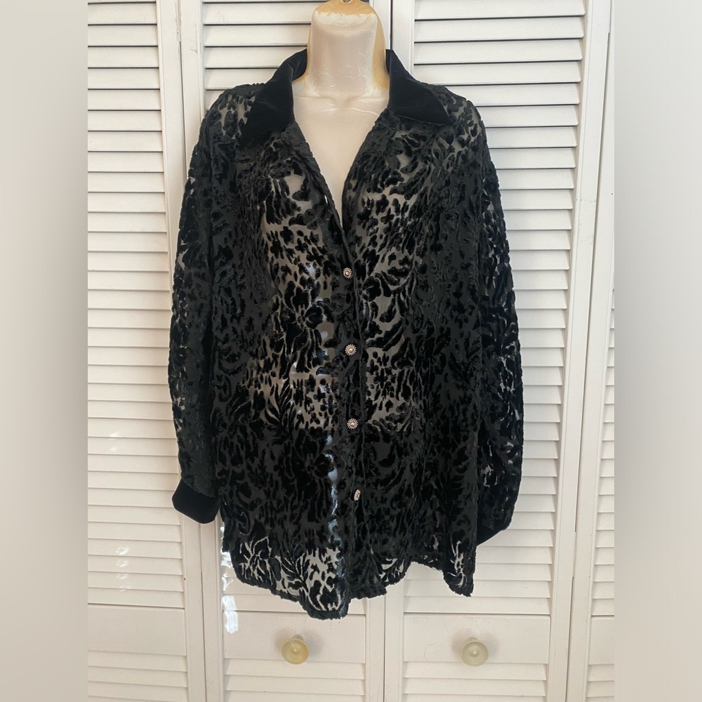 Vintage 90's Velvet Burn Out Sheer Button Up Long Sleeve Shirt Witchy Whimsigoth
